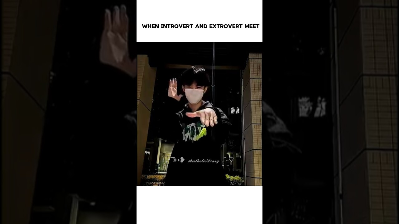 it's not fine when introvert and extrovert meet 🔥🔥🧨🧨☠️☠️