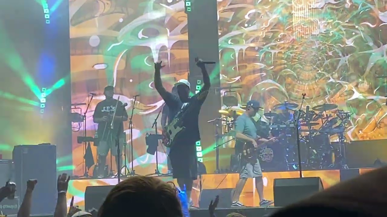 Slightly Stoopid ~ If You See Me Smile (Live) #the #ledge #stcloud #minnesota #reggae #ska #punkrock