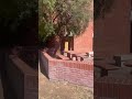 Business refuses to pay