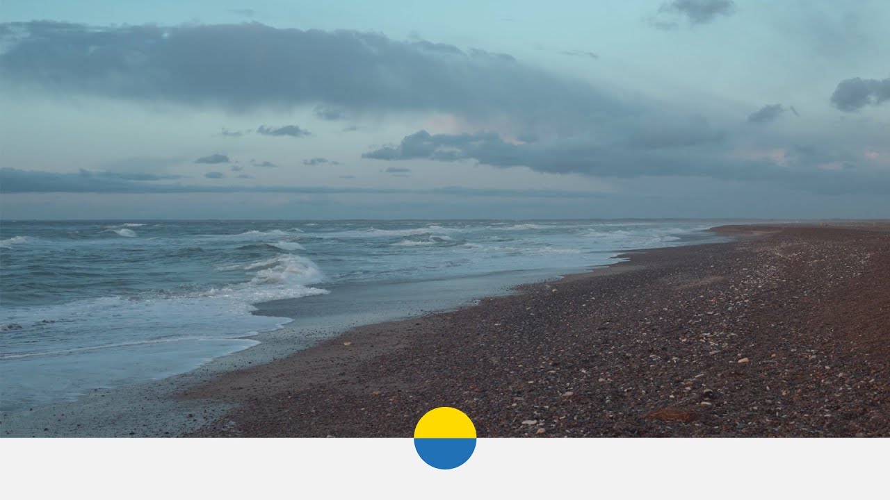 Radio Fossil Freedom - news from a fossil free future