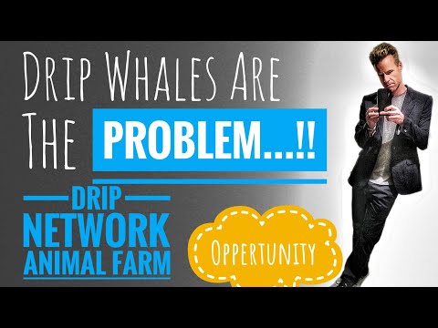 ?DRIP NETWORK | These Drip WHALES? Are The Problem With Drip Network...!!!?