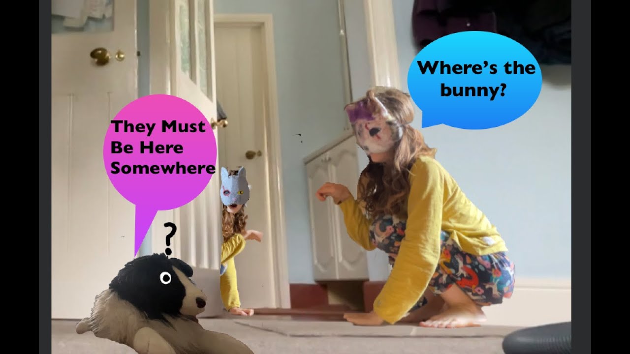 THE BUNNY IS BACK! Pt. 2, CAT VS. BUNNY