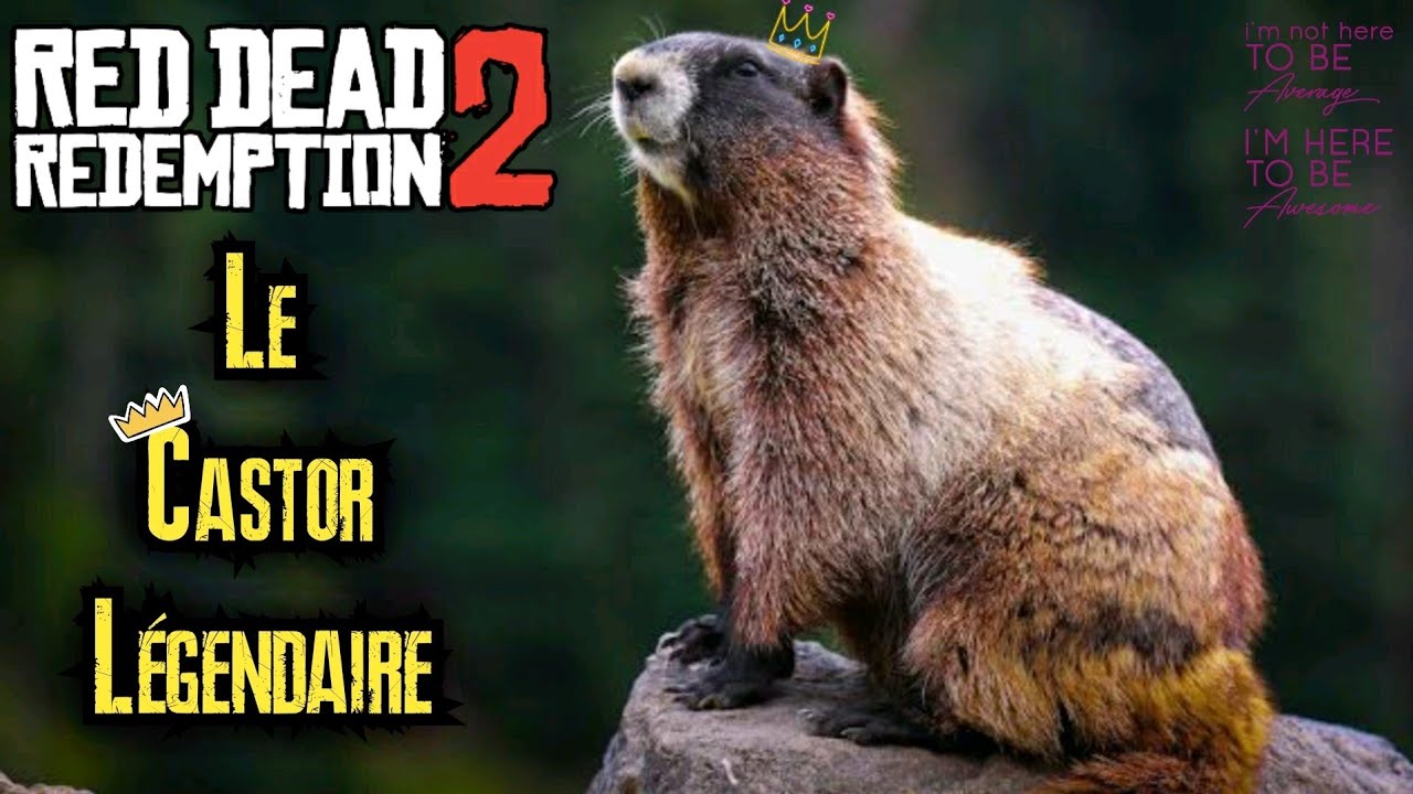 #5 La Chasse Des Animaux Légendaires : CASTOR , Tuto RED DEAD ...