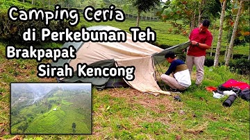 CAMPING di Perkebunan Teh Brakpapat Sirah Kencong