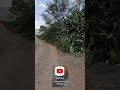 انتضرو اول جلسه شعبي للفنان ظافر صالح2023 فتشت لك ياحبيبي في خيوط الوتر انتضرو اول جلسه شعبي للفنان ظافر صالح2023 فتشت لك ياحبيبي في خيوط الوتر