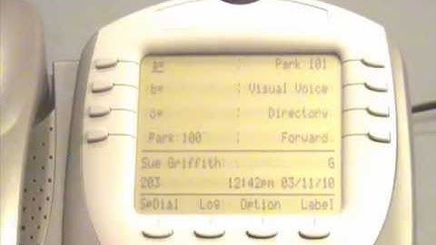 Avaya IP Office Call Logs