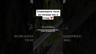Сура Аль-Имран, аяты 159-160 #shorts #рекомендации #коран #сура #красивоечтениекорана