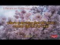 벚꽃 향기 가득한 밤, 가디건 하나 걸치고 걷기 좋은 감성 팝 Playlist 🌸🎧