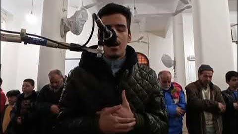 سورة الإنسان للبصير يقليه محمد أحمد حسن