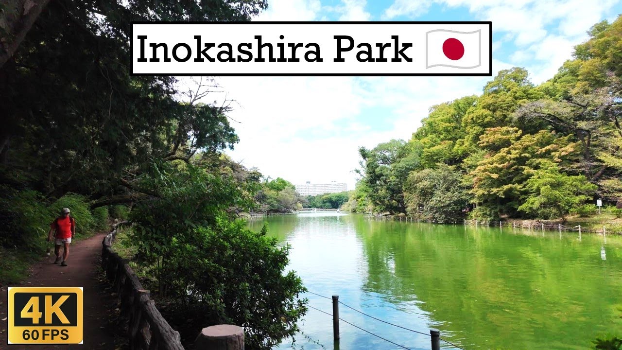 Inokashira Park, a hidden gem | 4K 60 fps in Japan