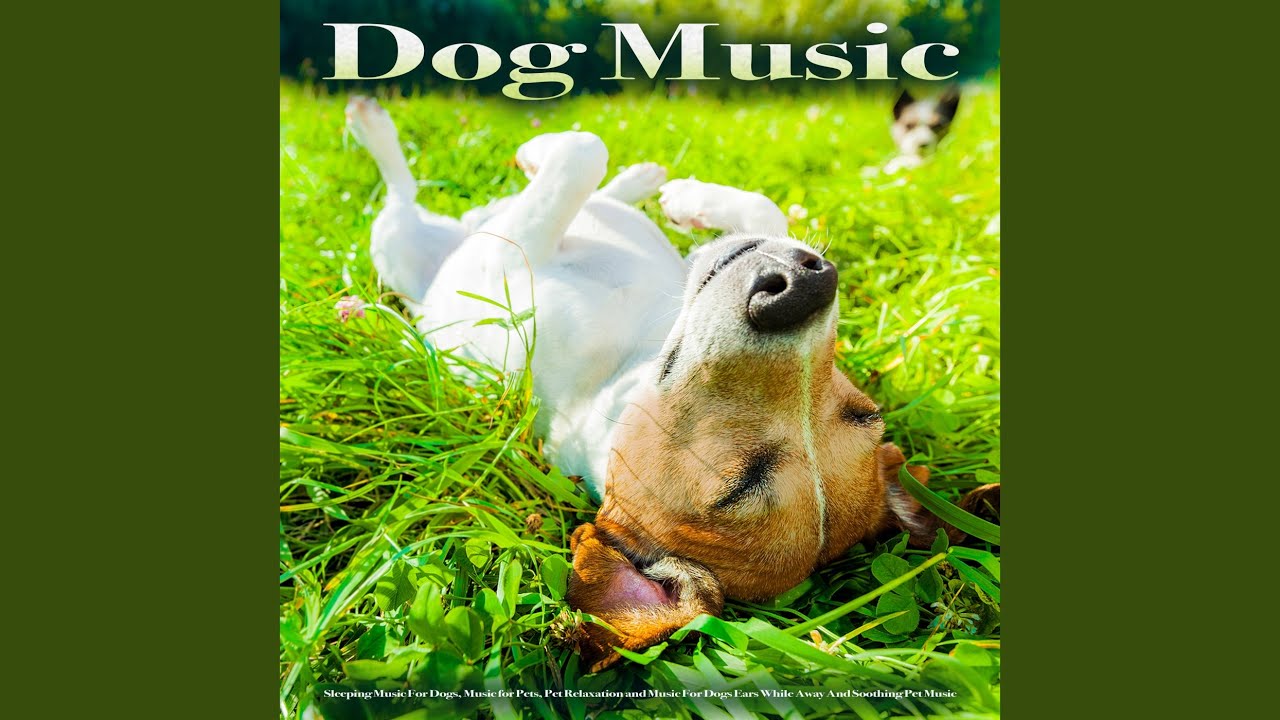 Relaxing Puppy Music - YouTube