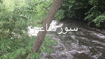 جزء عم | سورة الماعون مكرره 3 مرات | سعيد الخطيب