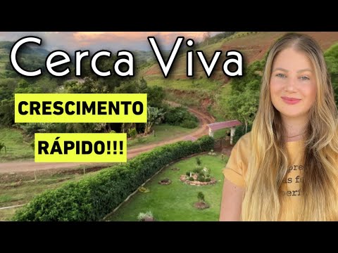 Vídeo: Crescimento de jardim com varanda: usando uma abordagem de jardim biointensivo