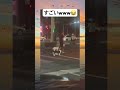 新時代の犬の散歩スタイルがこちら #shorts #犬 #ブレーメンの音楽隊