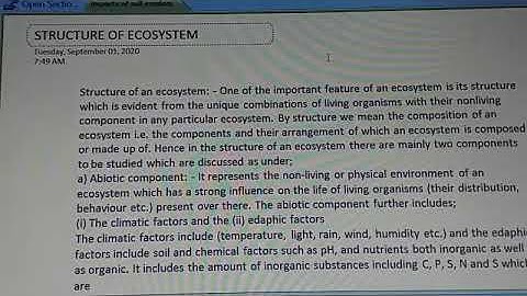 Structure of ecosystem