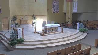 Divine Mercy - Daily Mass - Rosary 5/20/26