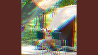 Sublime Music for Sleek Doggy