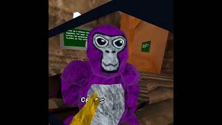 Gorilla tag is getting deleted