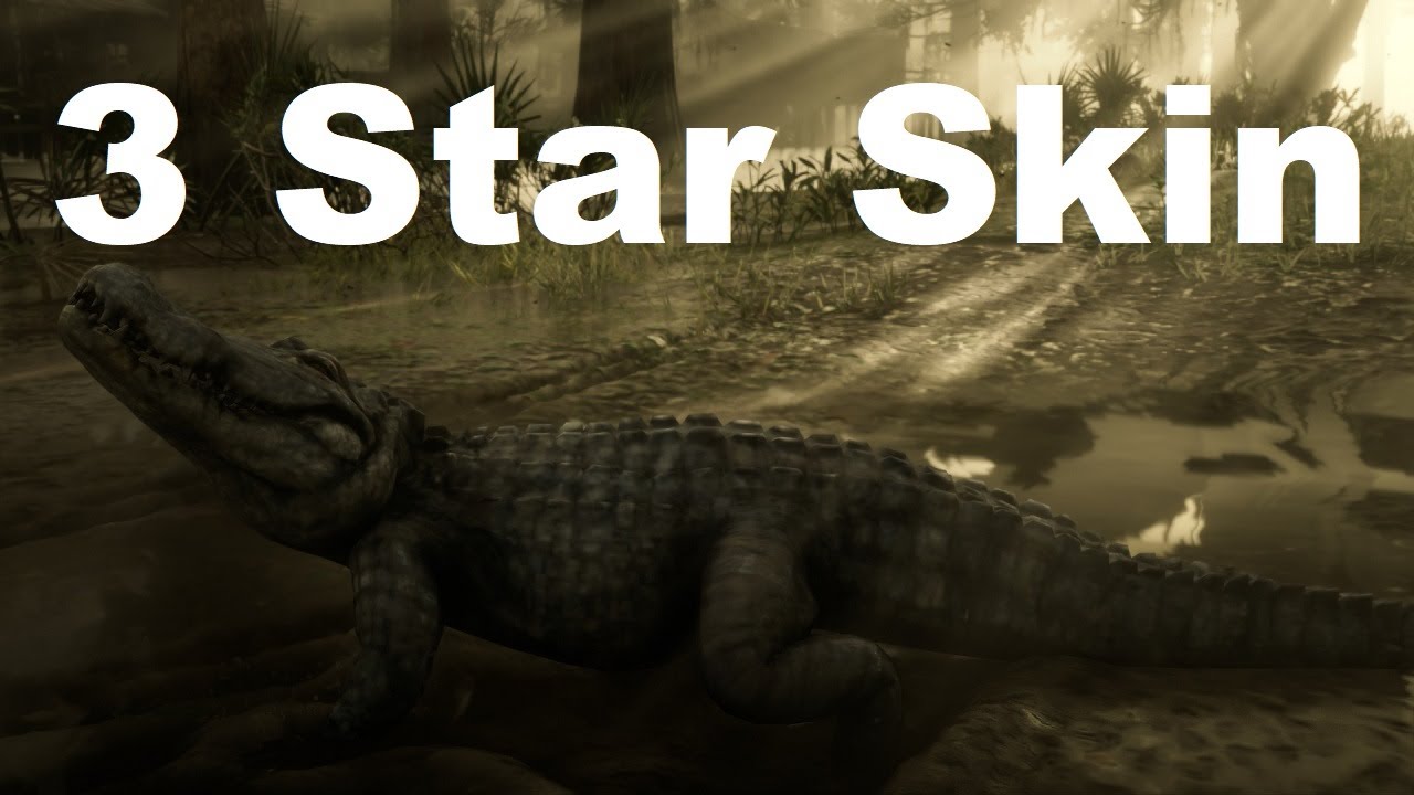 How To Get Perfect Alligator Skin Rdr2 How to get a perfect alligator skin | RDR2 - YouTube