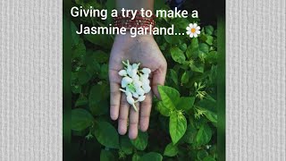 Jasmine garland | Giving a try to make jasmine garland | ELAMATHI