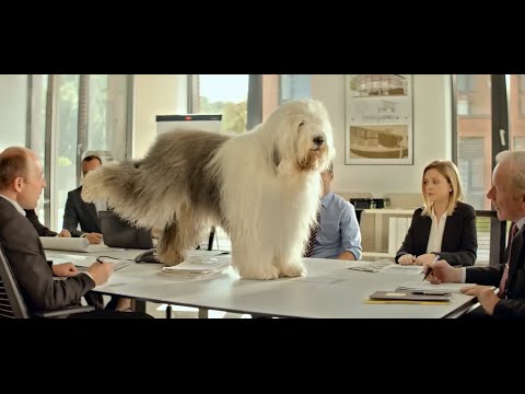 Bobtail no Minute Maid