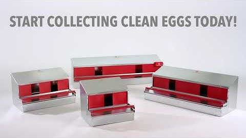 The Easiest Way To Keep Your Eggs Clean! Using a HenGear Rollout Nest Box - HenGear.com