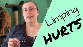 Limping Hurts | Your Vet Wishes You Knew
