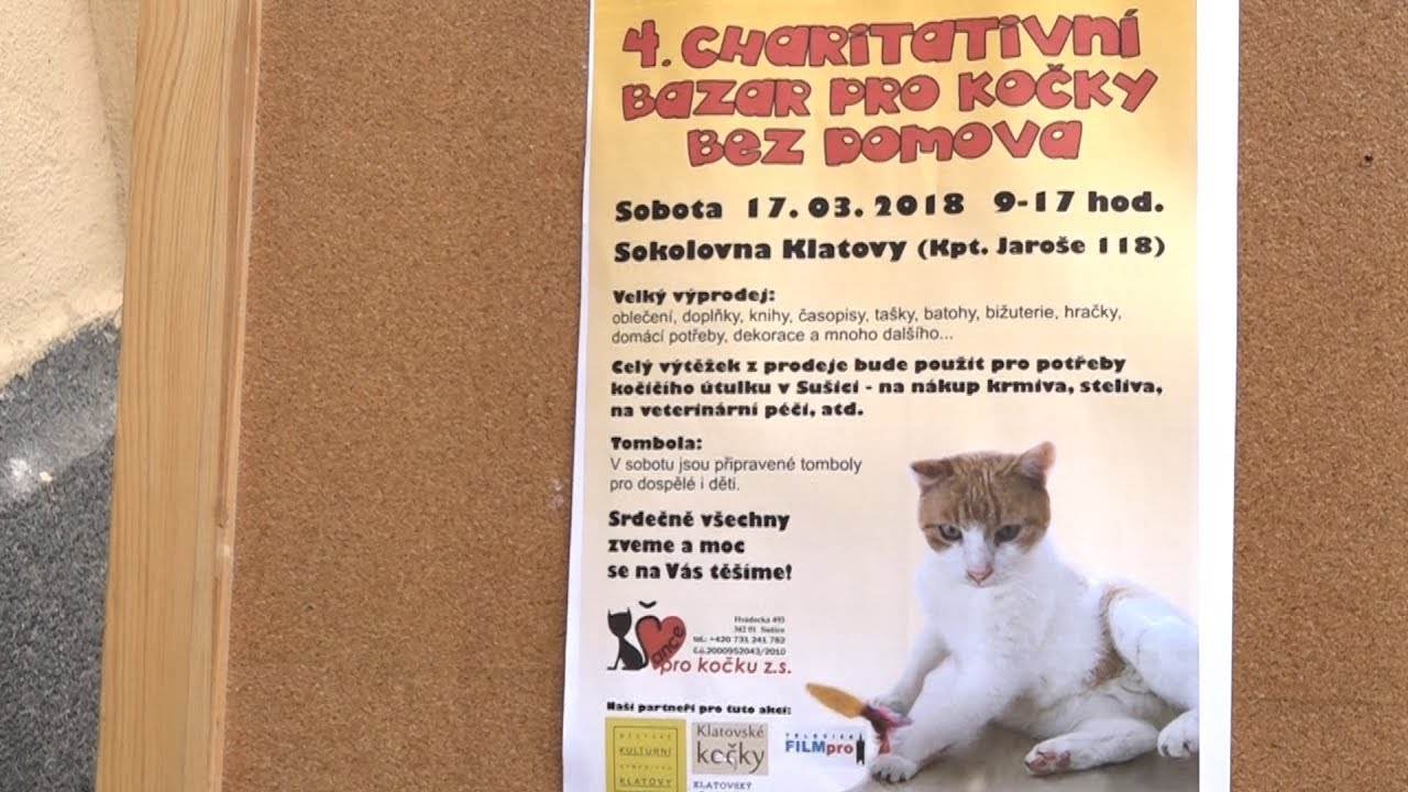Charitativní bazar pro kočky v Klatovech 2018