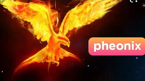fall out boy - the phoenix (knietic typography lyrics)