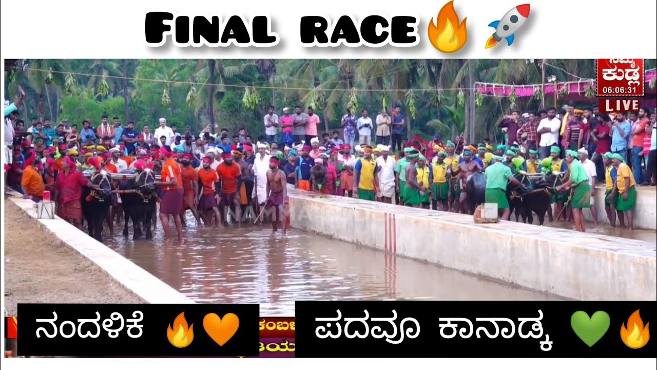 Nandalike🧡🔥 V/S Padavu kanadka 💚 Final race in Mulki arasu kambala 🔥🤩