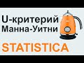 U-критерий МАННА-УИТНИ в STATISTICA #03 | СТАТИСТИКА STATISTICA