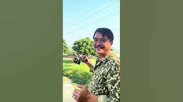 Ngày đẹp trời đi câu lure#Shorts