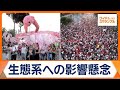 アルバニア政府がリゾート開発推進 クシュナー氏も関与 「フラミンゴ革命」抗議も【ワイド!スクランブル】(2026年6月19日)