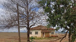 Casal Escutou o Vizinho Gritando e Foram olhar, E Viram Uma Luz Muito Forte na Sua Cama