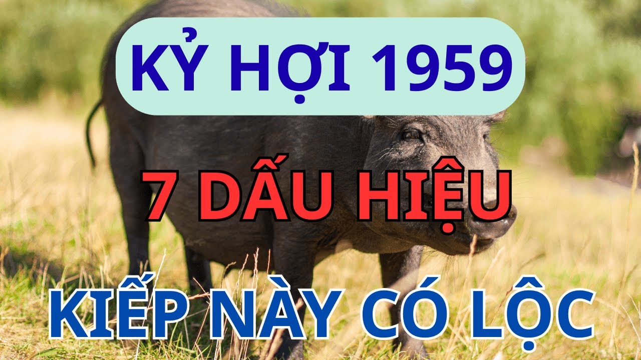 Bí Mật Vận Mệnh Kỷ Hợi 1959: 7 Đặc Điểm Của Người Có 