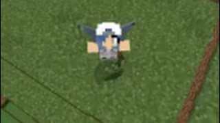 Awesome Elytra Cinematic shots