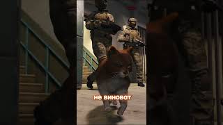 А я стал котом в гта 5 рп на сервере RMRP 6! ФСБ допросило КОТА!!! #rmrp #gta #crmp #матрп #online