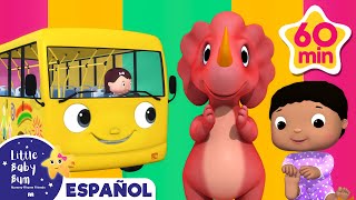 Cuenta los bebes, dinos y autobuses | Canciones Infantiles | Caricaturas para bebes |Little Baby Bum