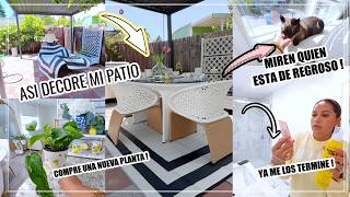 ASI DECORE MI PATIO 😍🍋MIREN QUIEN ESTA AQUI DE VISITA 😻YA ME LOS TERMINE