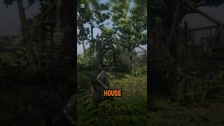 Secret money stash in rdr2 #rdr2 #reddeadredemption2 #funny #meme