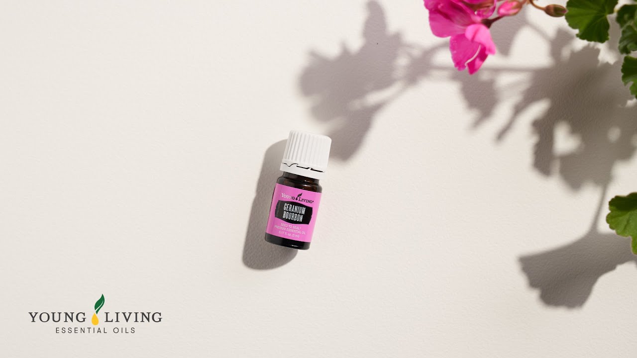 Geranium Bourbon essential oil Young Living Essential Oils YouTube