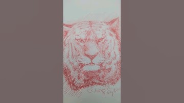 Tiger #art #drawing #sketch #pendrawing #viral