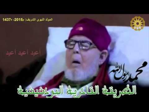 قصيدة  جذبتني بحسن ضوء وجهها الطريقة القادرية البودشيشية