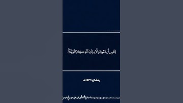 تلاوة مؤثرة للقارئ عبدالله المنسلح من سورة ال عمران