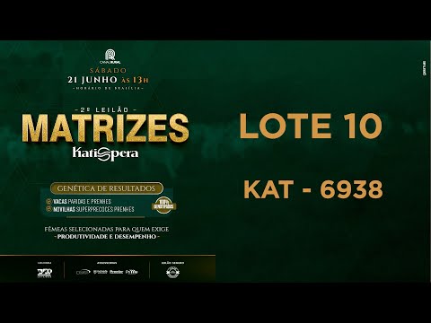 LOTE 10   KAT 6938