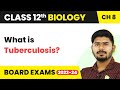 Tuberculosis (Infection and Disease) - Human Health and Disease | Class 12 Biology