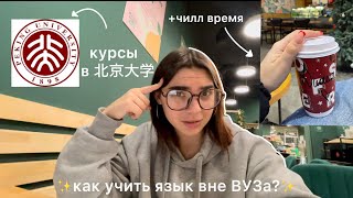 GAP-YEAR VLOG📍 курсы из Пекинского университета, зимняя атмосфера и многое об учёбе