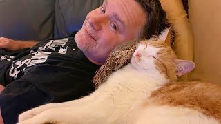Supernatural Attachment Amazing Love Between CATS and HUMANS 💖