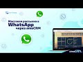 Массовая рассылка в WhatsApp через amoCRM - Open Group