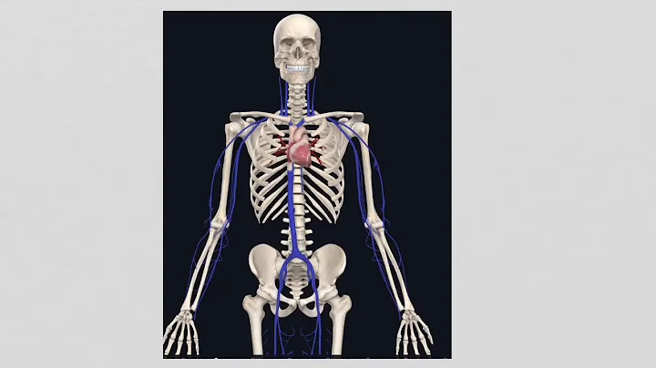 How is atrial flutter ablation performed?